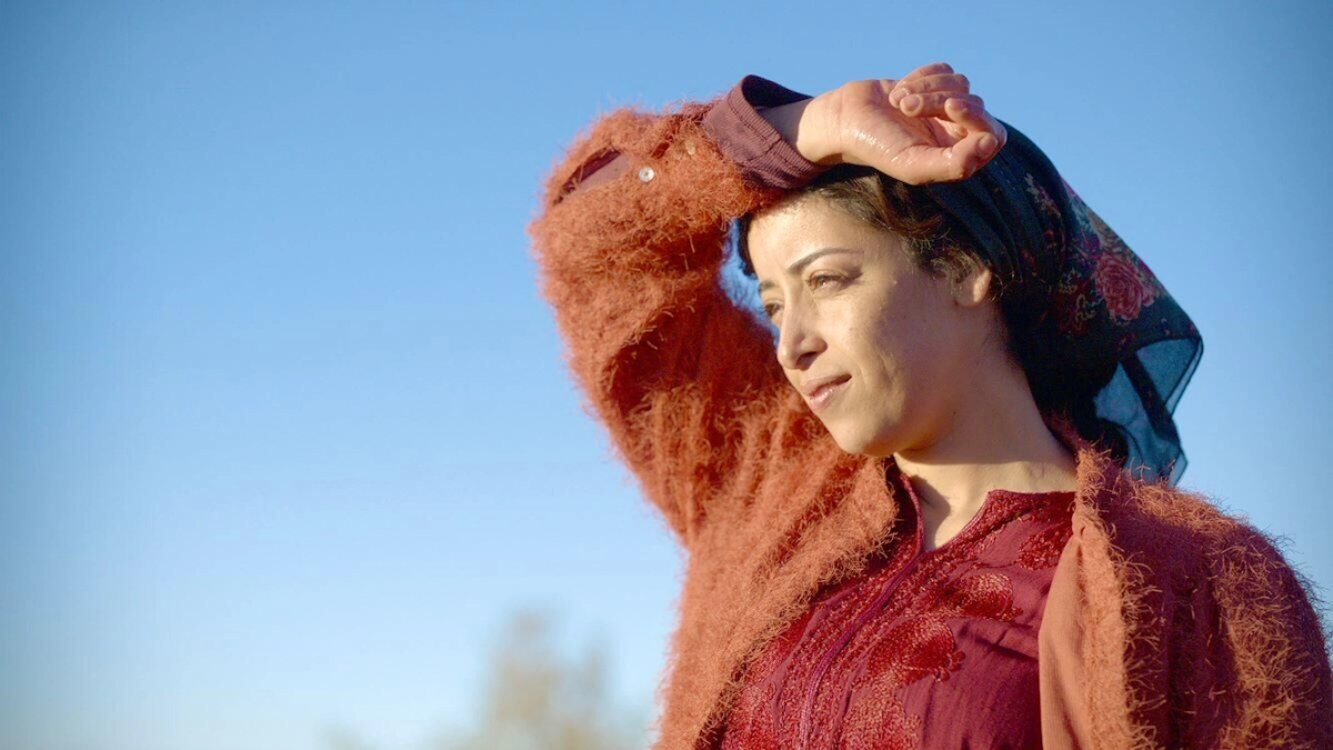 Everybody Loves Touda